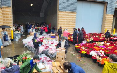 Floral Industry Honors Fallen Soldiers With Stems on Memorial Day