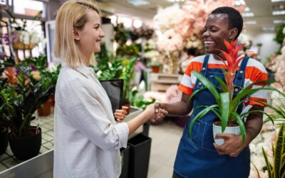 What Makes an Ownership Transition Succeed? 