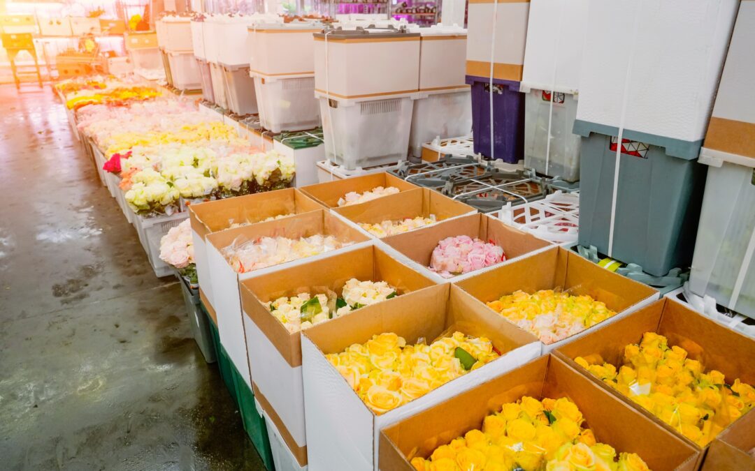 SAF Urges Trade Officials to Exempt Flowers from Proposed Tariffs
