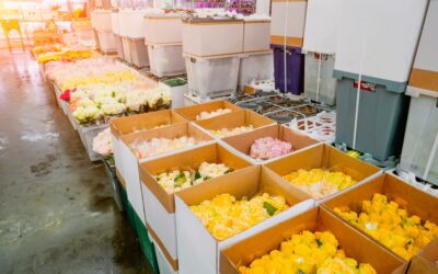 SAF Urges Trade Officials to Exempt Flowers from Proposed Tariffs