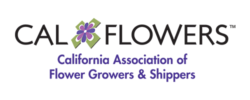 main_logo