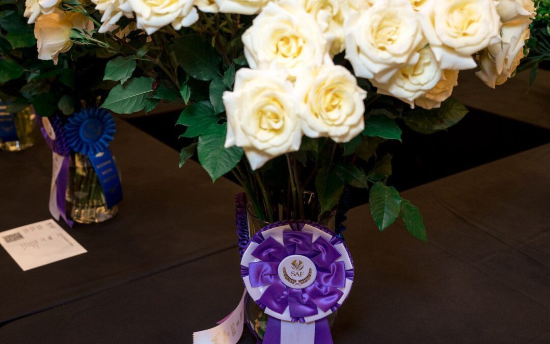 ‘New Moon’ Spray Rose Wins Best in Show at Outstanding Varieties Competition 