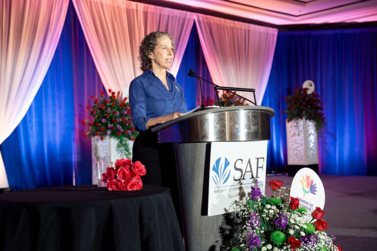 A speaker at the podium during the State of the Floral Industry keynote